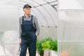 Senior gardener  working in greenhouse. Royalty Free Stock Photo