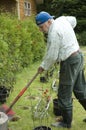 Senior gardening