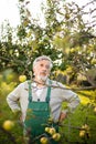 Senior gardenr gardening in his permaculture garden