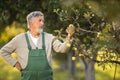 Senior gardenr gardening in his permaculture garden