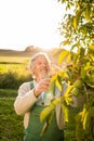 Senior gardenr gardening in his permaculture garden Royalty Free Stock Photo