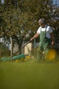 Senior gardenr  in his permaculture garden - mowing the lawn Royalty Free Stock Photo