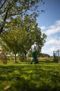 Senior gardenr in his permaculture garden - mowing the lawn