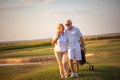 Golfers talking and walking on golf course Royalty Free Stock Photo