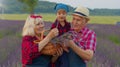 Senior grandmother grandfather with granddaughter farmers growing lavender flowers in meadow field