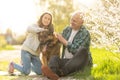 senior grandparents with grandchild in orchard in spring. Royalty Free Stock Photo