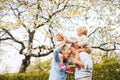 Senior grandparents with grandchildren standing under tree in blossom in spring. Royalty Free Stock Photo