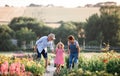 Senior grandparents and granddaughter gardening in the backyard garden.