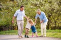 Senior grandparents with toddler grandchildren walking in nature in spring.