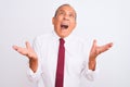 Senior grey-haired businessman wearing elegant tie over isolated white background crazy and mad shouting and yelling with Royalty Free Stock Photo