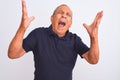 Senior grey-haired man wearing black casual polo standing over isolated white background crazy and mad shouting and yelling with Royalty Free Stock Photo