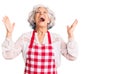 Senior grey-haired woman wearing apron celebrating mad and crazy for success with arms raised and closed eyes screaming excited Royalty Free Stock Photo