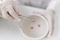 Senior grey-haired woman wearing scientist gloves holding pill at laboratory