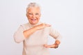 Senior grey-haired woman wearing turtleneck sweater standing over isolated white background gesturing with hands showing big and Royalty Free Stock Photo