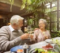 Senior Group Relax Lifestyle Dinning Concept Royalty Free Stock Photo