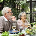 Senior Group Relax Lifestyle Dinning Concept Royalty Free Stock Photo