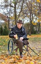 Senior handicapped man in a wheelchair Royalty Free Stock Photo
