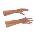 Senior hands on a white. 3D illustration