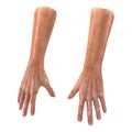 Senior hands on a white. 3D illustration