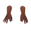 Senior hands on a white. 3D illustration