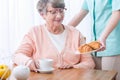 Senior having home medical care Royalty Free Stock Photo