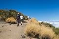 Senior Hikers In The Tenerife Mountains, Spain, editorial