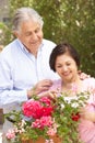 Senior Hispanic Couple Working In Garden Tidying Pots Royalty Free Stock Photo