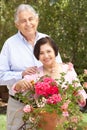 Senior Hispanic Couple Working In Garden Tidying Pots Royalty Free Stock Photo
