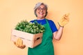 Senior hispanic woman wearing gardener apron and gloves holding plant wooden pot smiling happy pointing with hand and finger to Royalty Free Stock Photo