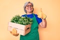 Senior hispanic woman wearing gardener apron and gloves holding plant wooden pot smiling happy and positive, thumb up doing Royalty Free Stock Photo