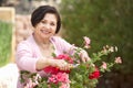 Senior Hispanic Woman Working In Garden Tidying Pots Royalty Free Stock Photo