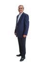 Senior Indian businessman or executive in a light blue shirt and dark blue suit Royalty Free Stock Photo