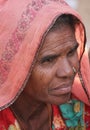 Senior Indian woman portrait