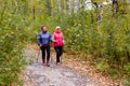 Senior ladies nordic walking Royalty Free Stock Photo