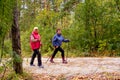 Senior ladies nordic walking Royalty Free Stock Photo