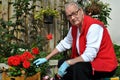 Senior lady gardening