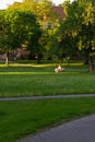 senior lady sitting on park bench