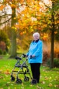 Senior lady with a walker in autumn park Royalty Free Stock Photo