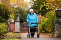 Senior lady with a walker in autumn park Royalty Free Stock Photo