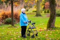 Senior lady with a walker in autumn park Royalty Free Stock Photo