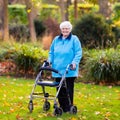 Senior lady with a walker in autumn park Royalty Free Stock Photo