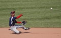 Senior league baseball world series flip