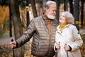 Senior lovely couple are walking together through the autumn woods, nordic walking Royalty Free Stock Photo