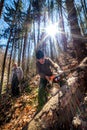 Senior lumberjacks cutting trees