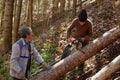 Senior lumberjacks cutting trees