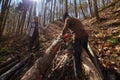 Senior lumberjacks cutting trees