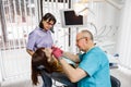 Senior male dentist doctor and his female nurse treats a patient. Dentistry and healthcare, oral care concept