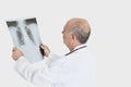 Senior male doctor examining medical radiograph over gray background