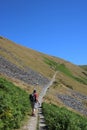 Fellwalker, Mousthwaite Comb, Scales Fell, Cumbria