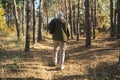Senior male hiker walking with backpack in the wood while enjoying of the autumn nature Royalty Free Stock Photo
